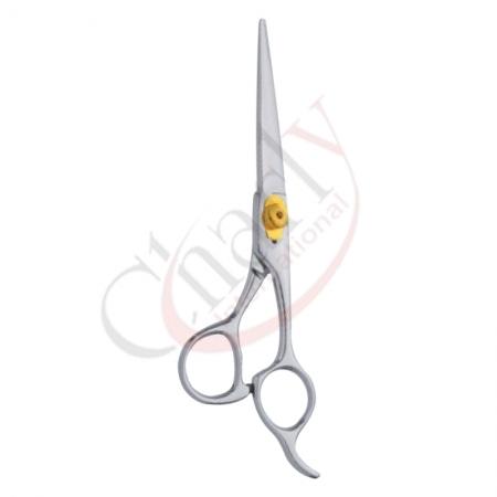 Professional Hair Cutting Scissor