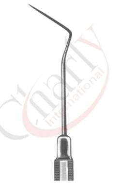 Dental Probes 