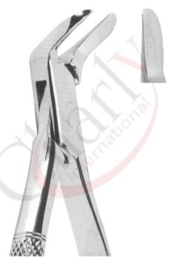 Extracting Forceps American pattern 