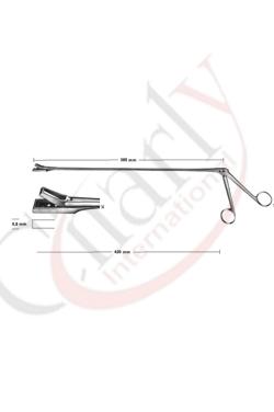 Biopsy forceps for rectum